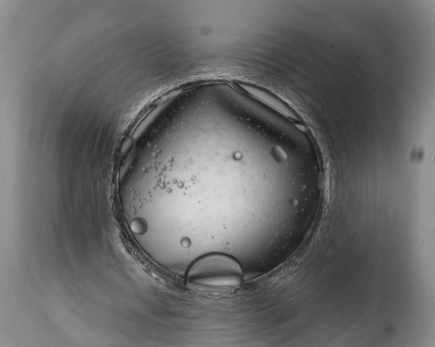 X0000115010434200911091424