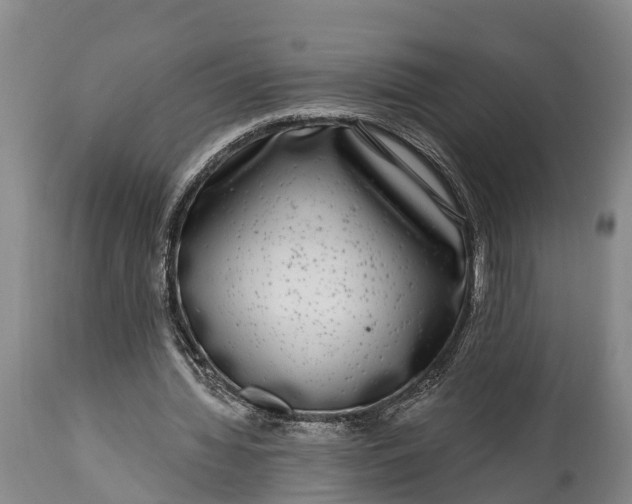 X0000115010436200911091424
