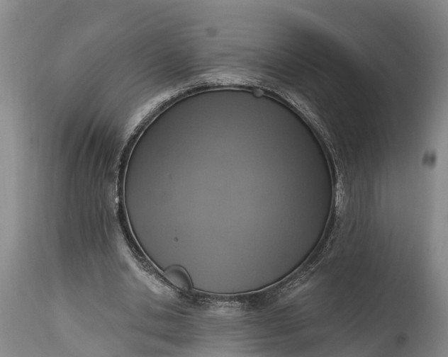 X0000115010438200911091424