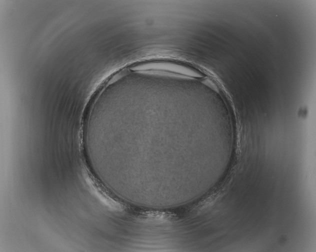 X0000115010439200911091424
