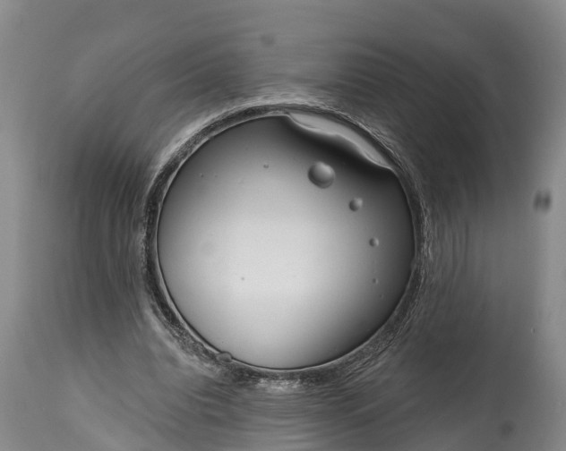 X0000115010440200911091424