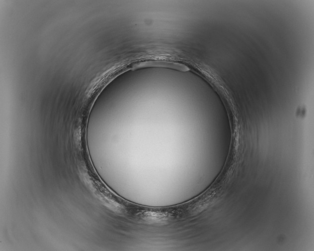 X0000115010442200911091424