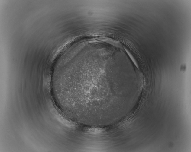 X0000115010444200911091424