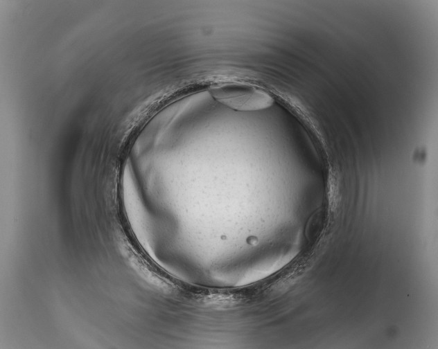 X0000115010445200911091424