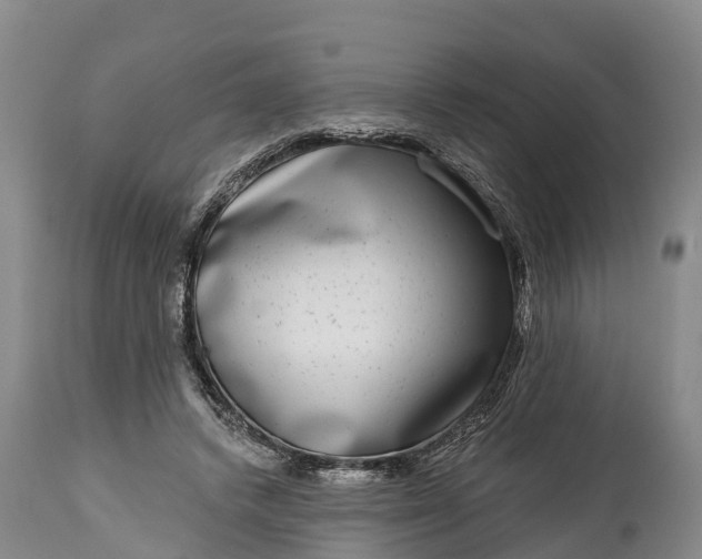 X0000115010448200911091424