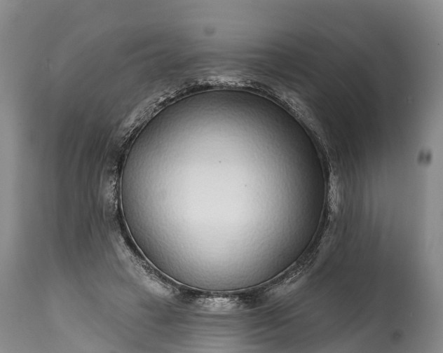 X0000115010449200911091424