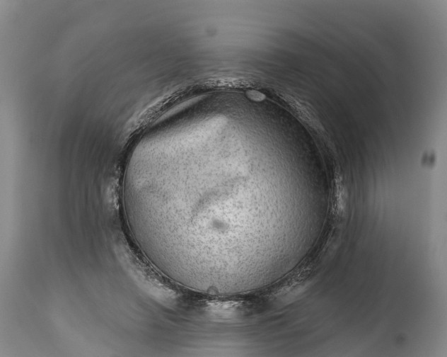 X0000115010450200911091424