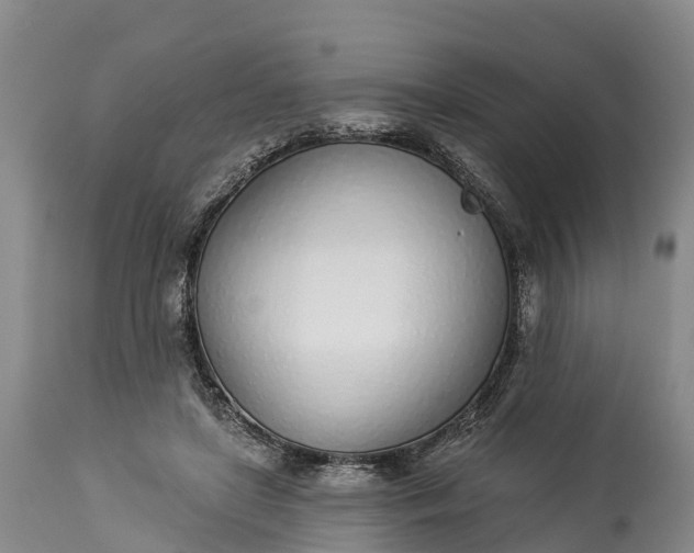 X0000115010451200911091424