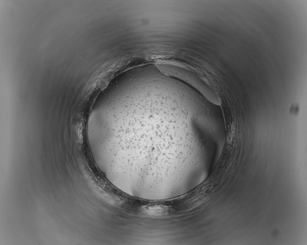 X0000115010452200911091424