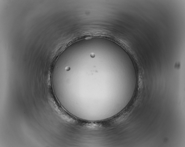 X0000115010453200911091424