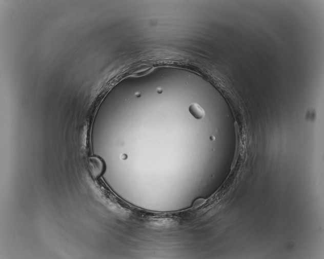 X0000115010454200911091424