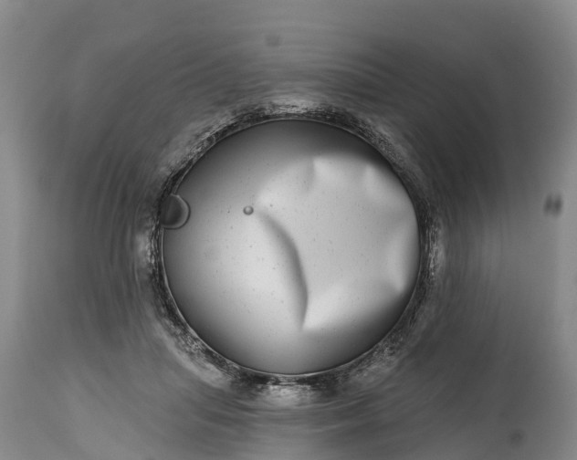 X0000115010455200911091424
