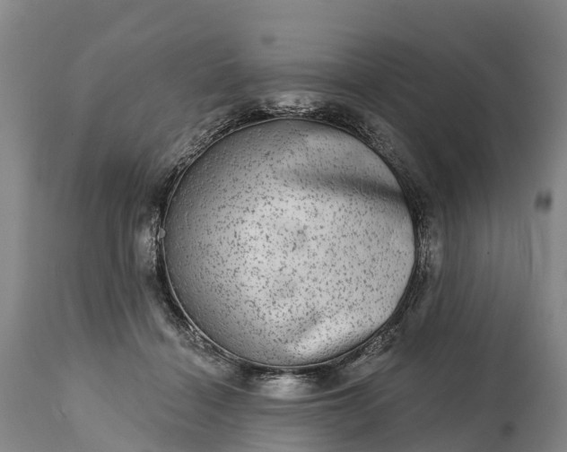 X0000115010460200911091424
