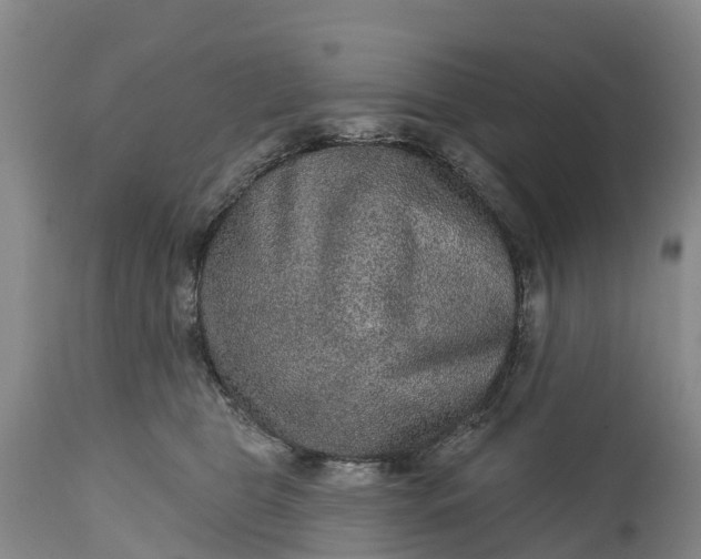 X0000115010469200911091424