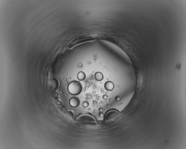 X0000115010470200911091424