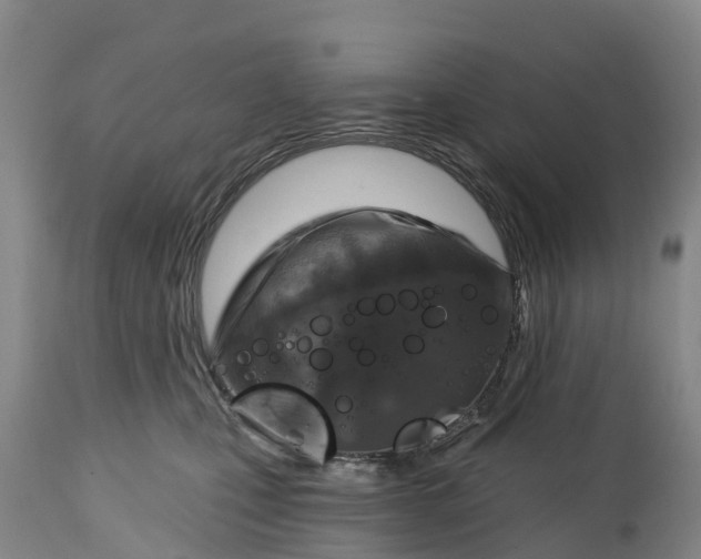 X0000115010471200911091424
