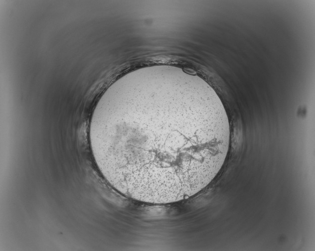 X0000115010473200911091424