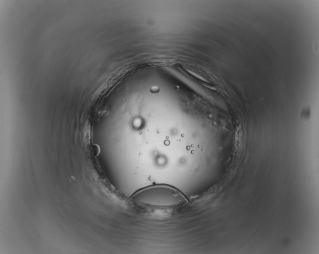X0000115010474200911091424