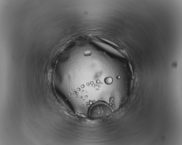 X0000115010475200911091424
