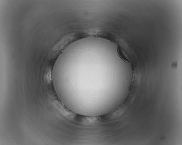 X0000115010479200911091424