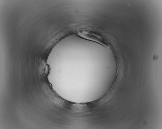 X0000115010480200911091424