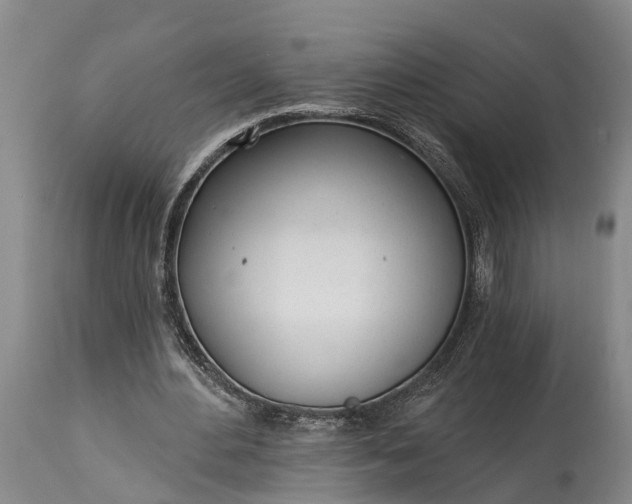 X0000115010484200911091424