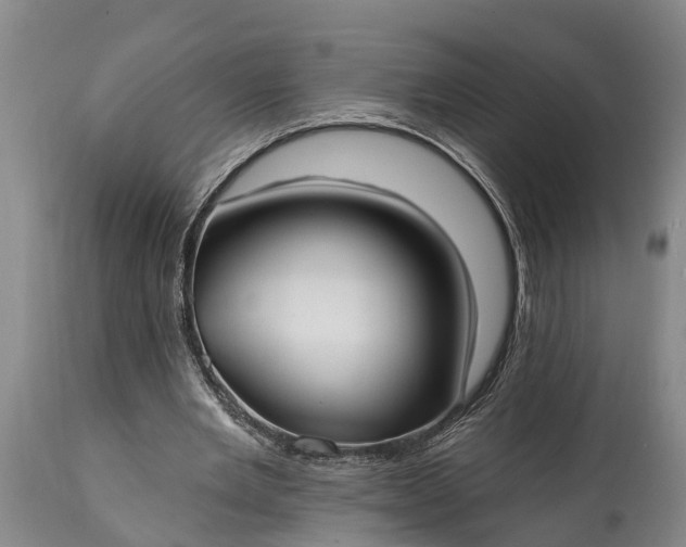 X0000115010485200911091424