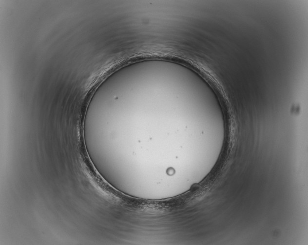 X0000115010489200911091424