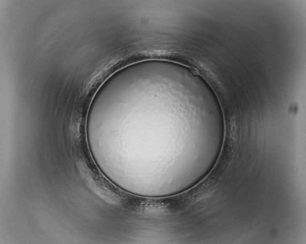 X0000115010491200911091424