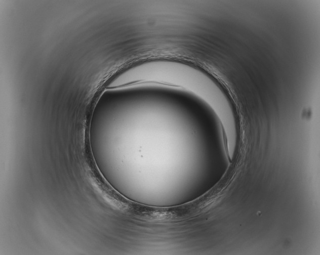 X0000115010493200911091424