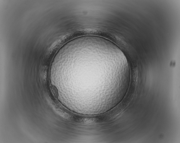 X0000115010495200911091423