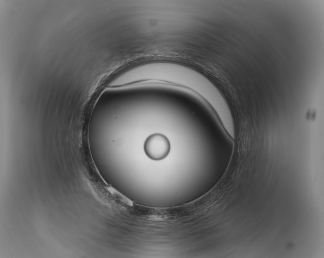 X0000115010496200911091423