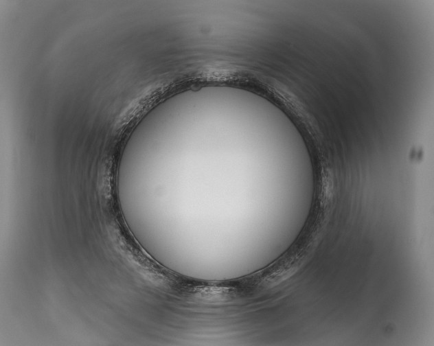 X0000115010497200911091423