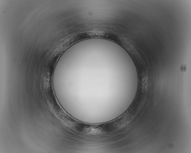 X0000115010498200911091423