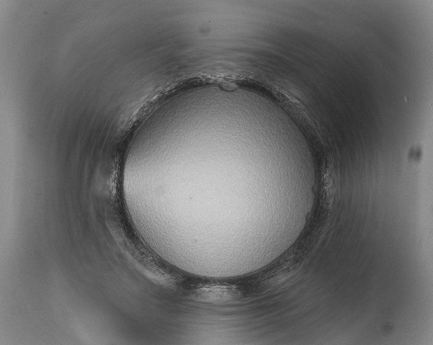 X0000115010499200911091423