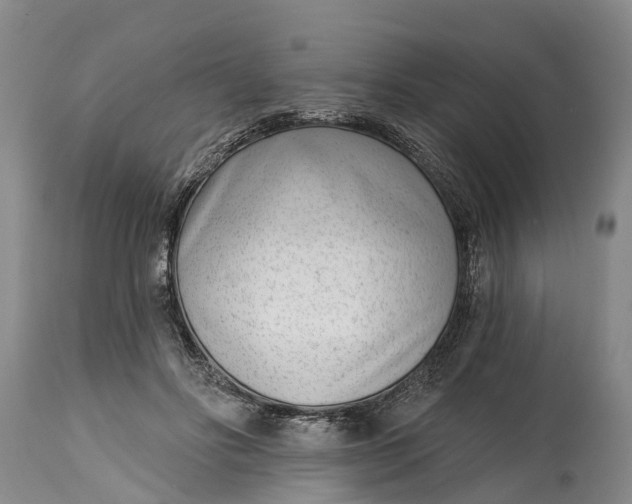 X0000115010502200911091423