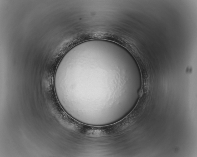 X0000115010503200911091423