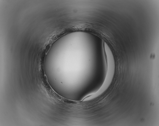 X0000115010504200911091423