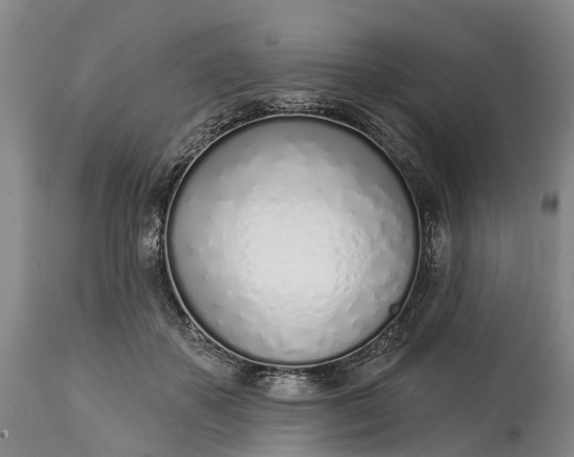 X0000115010507200911091423