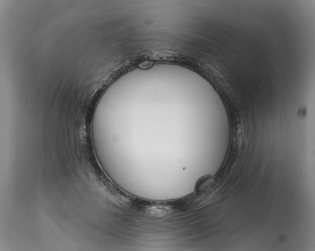X0000115010508200911091423