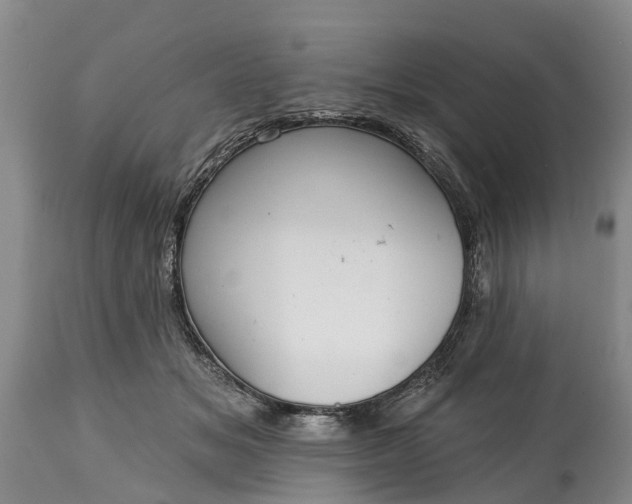 X0000115010509200911091423