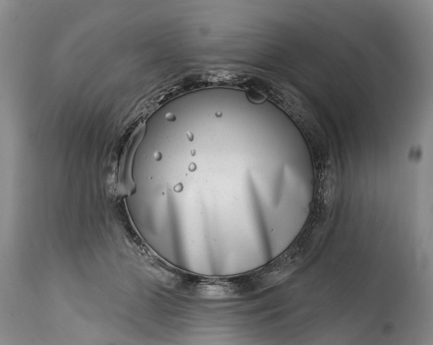 X0000115010510200911091423
