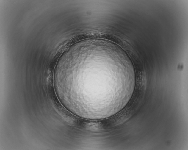 X0000115010511200911091423