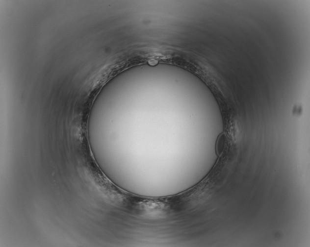 X0000115010512200911091423