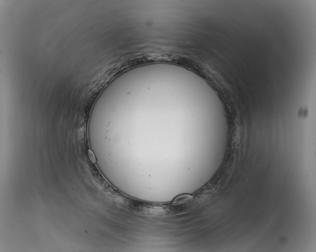 X0000115010513200911091423