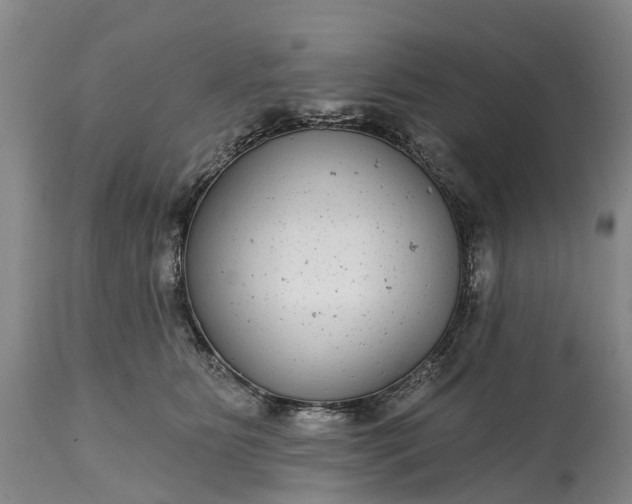 X0000115010515200911091423