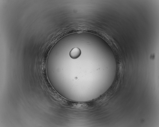 X0000115010517200911091423