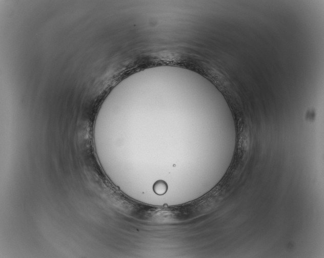 X0000115010518200911091423