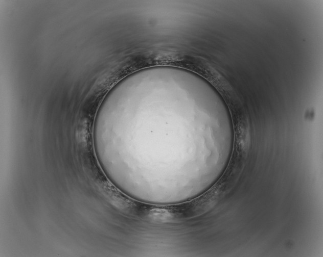 X0000115010519200911091423