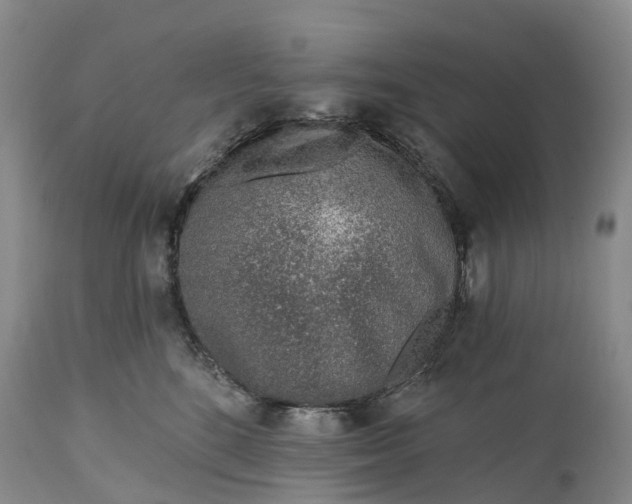 X0000115010520200911091423